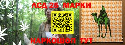 эйфоретик Бузулук