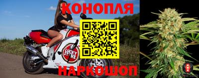 твердый Будённовск