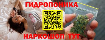 твердый Будённовск