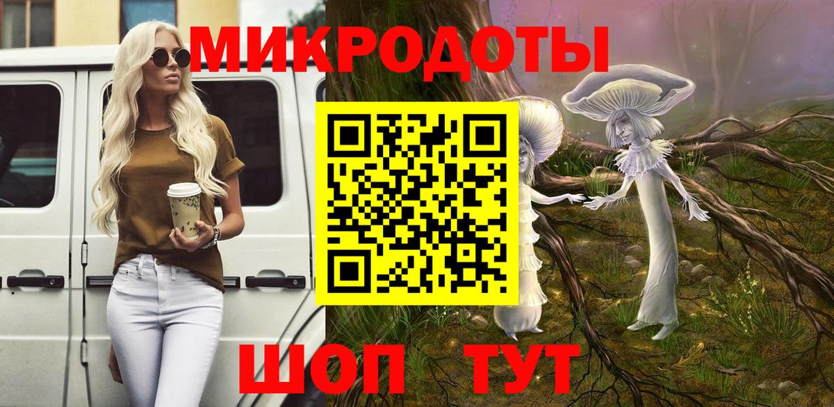 Галлюциногенные грибы Psilocybe Калининград